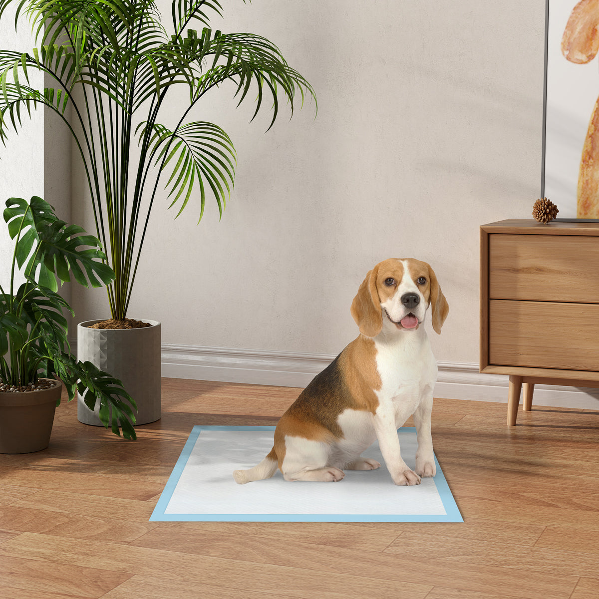 Lot de 80 tapis d'entraînement pour chien, étanche, 6 couches avec surface à séchage rapide, protection, 60 x 60 cm
